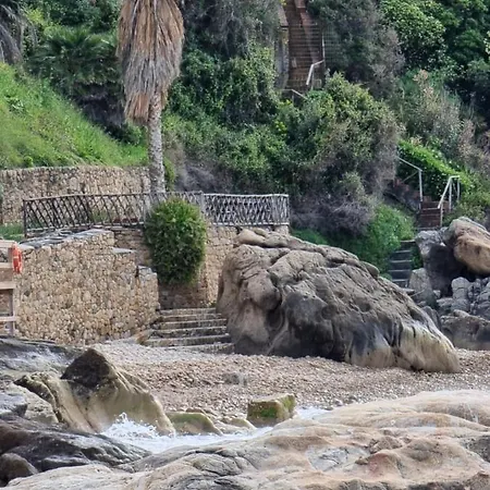 Eucaliptus * Cefalù
